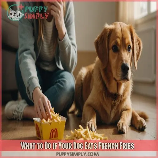 What to Do if Your Dog Eats French Fries