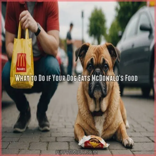 What to Do if Your Dog Eats McDonald