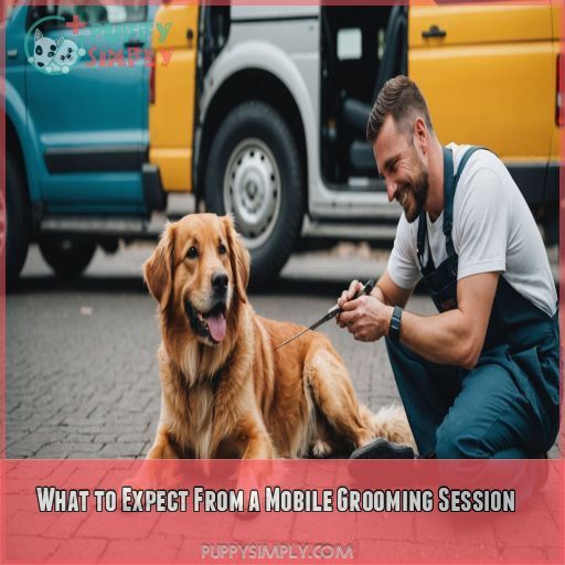 What to Expect From a Mobile Grooming Session