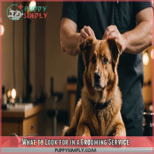 What to Look for in a Grooming Service