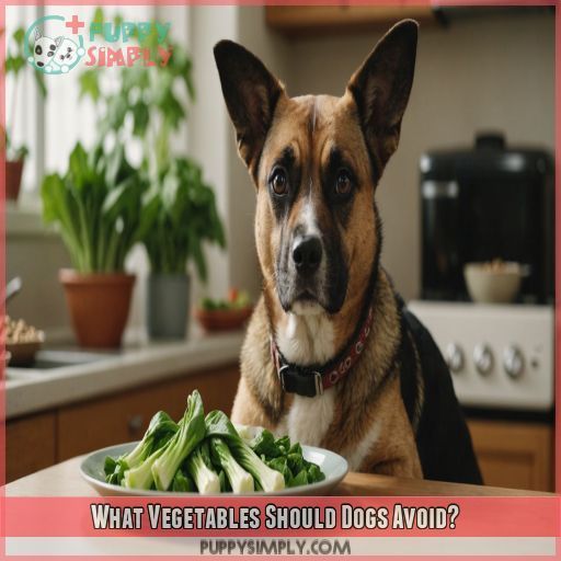 What Vegetables Should Dogs Avoid