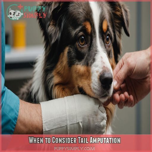 When to Consider Tail Amputation