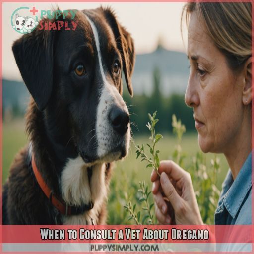 When to Consult a Vet About Oregano