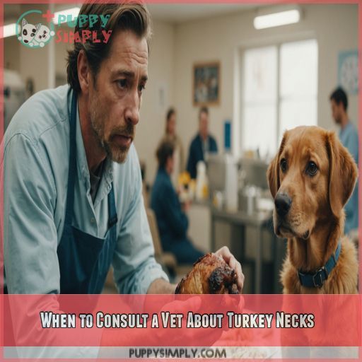 When to Consult a Vet About Turkey Necks