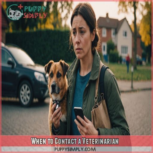 When to Contact a Veterinarian