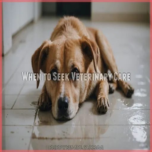 When to Seek Veterinary Care