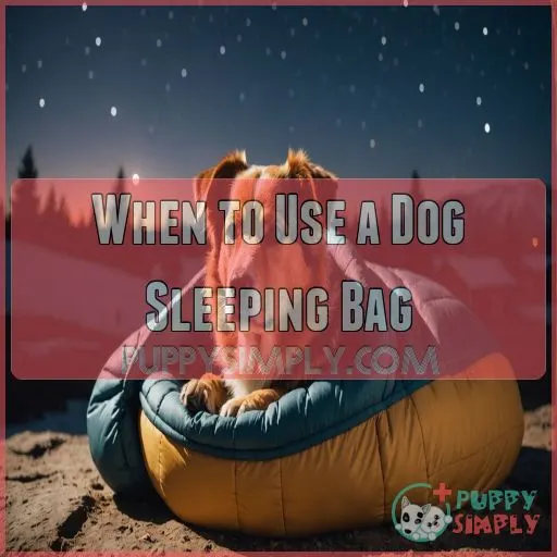 When to Use a Dog Sleeping Bag