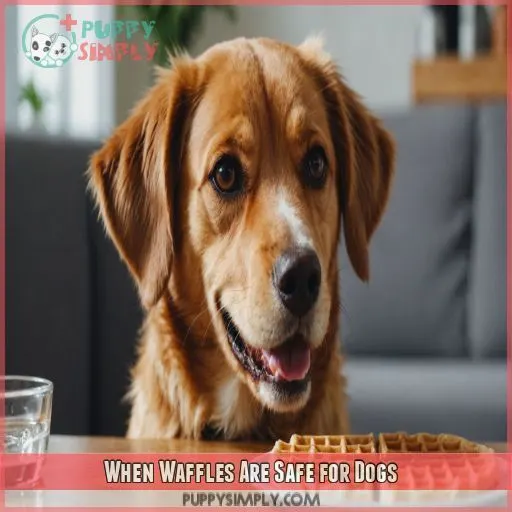 When Waffles Are Safe for Dogs