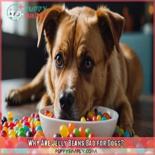 Why Are Jelly Beans Bad for Dogs