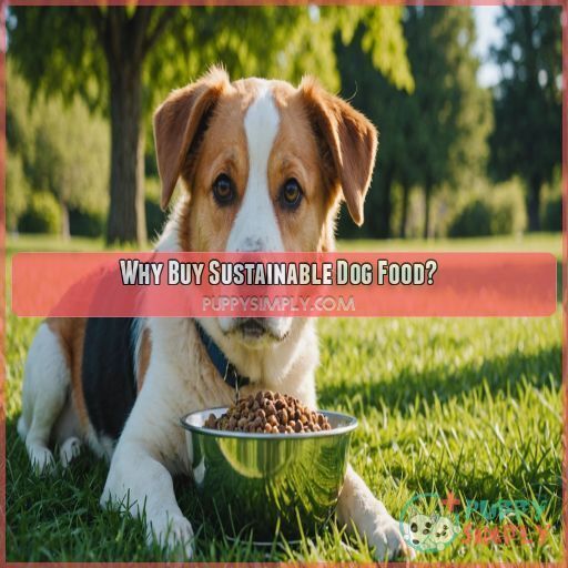 Why Buy Sustainable Dog Food Why Buy Sustainable Dog Food