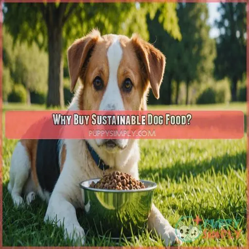 Why Buy Sustainable Dog Food