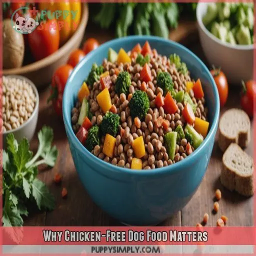 Why Chicken-Free Dog Food Matters