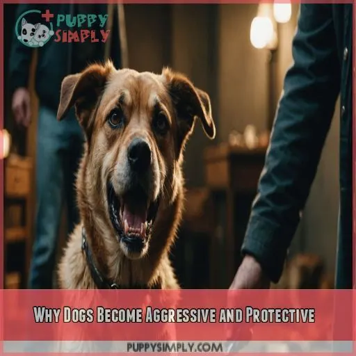 Why Dogs Become Aggressive and Protective