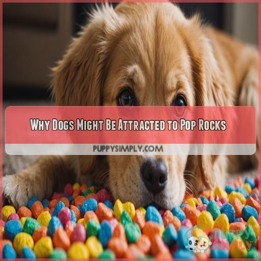 Why Dogs Might Be Attracted to Pop Rocks