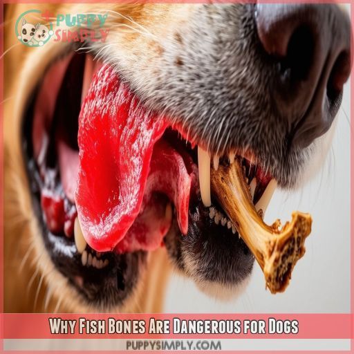 Why Fish Bones Are Dangerous for Dogs