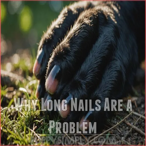 Why Long Nails Are a Problem