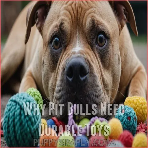 Why Pit Bulls Need Durable Toys