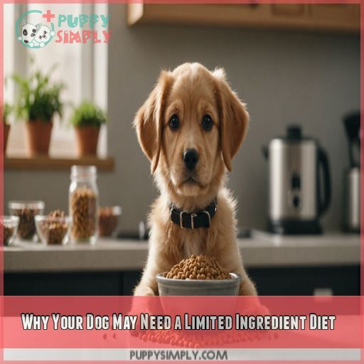 Why Your Dog May Need a Limited Ingredient Diet