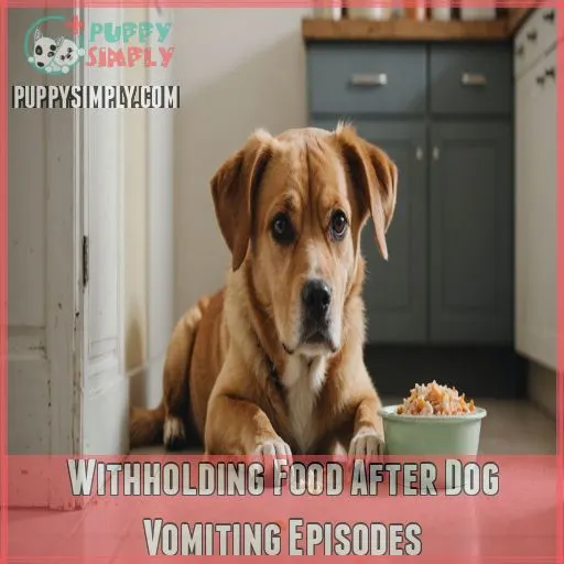 Withholding Food After Dog Vomiting Episodes