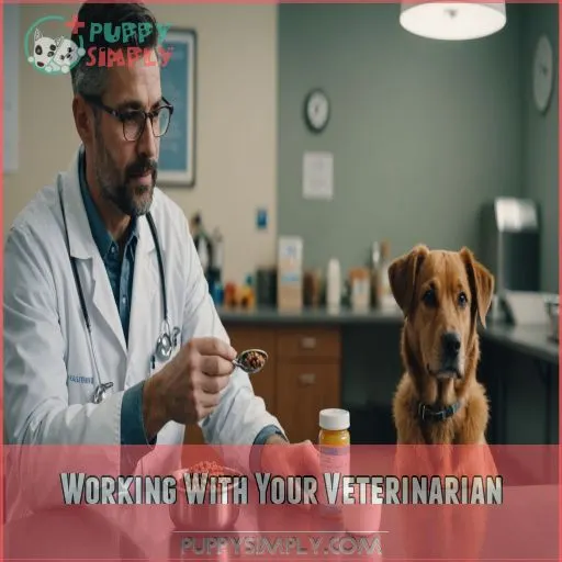 Working With Your Veterinarian