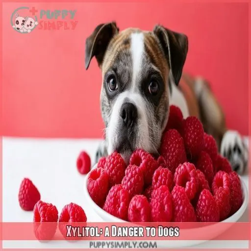 Xylitol: a Danger to Dogs