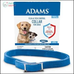 Adams Flea & Tick Control