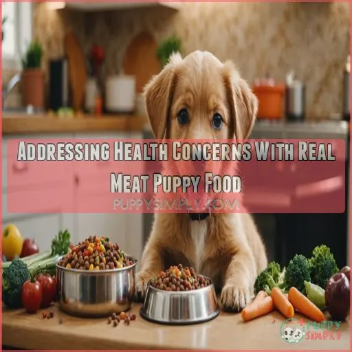 Addressing Health Concerns With Real Meat Puppy Food