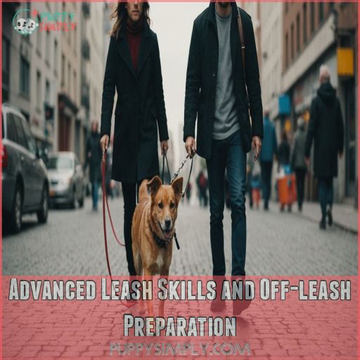 Advanced Leash Skills and Off-leash Preparation