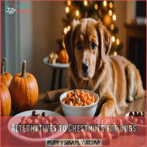 Alternatives to Chestnuts for Dogs