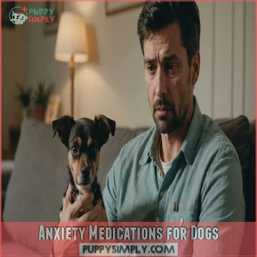 Anxiety Medications for Dogs