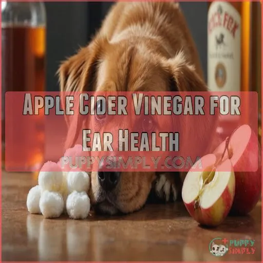 Apple Cider Vinegar for Ear Health