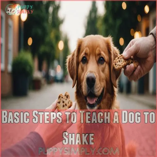 Basic Steps to Teach a Dog to Shake