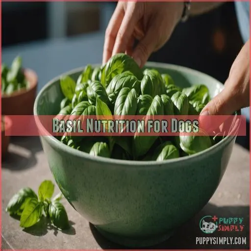 Basil Nutrition for Dogs