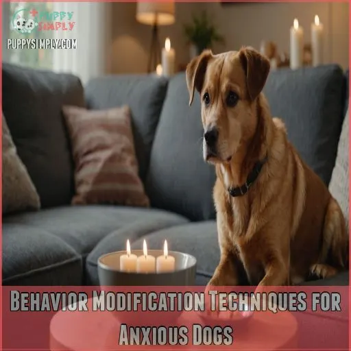 Behavior Modification Techniques for Anxious Dogs