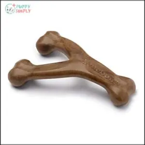 Benebone Wishbone Durable Dog Chew