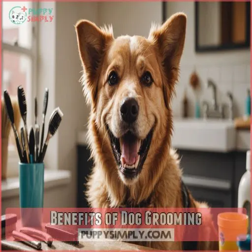 Benefits of Dog Grooming