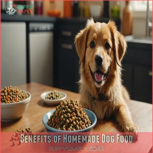 Benefits of Homemade Dog Food