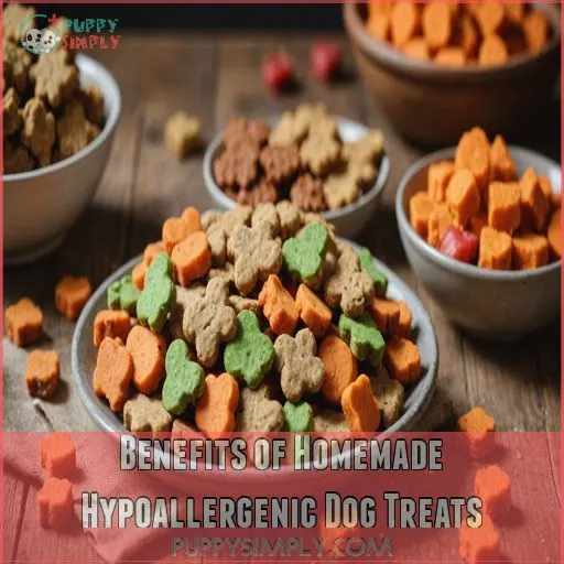 Benefits of Homemade Hypoallergenic Dog Treats