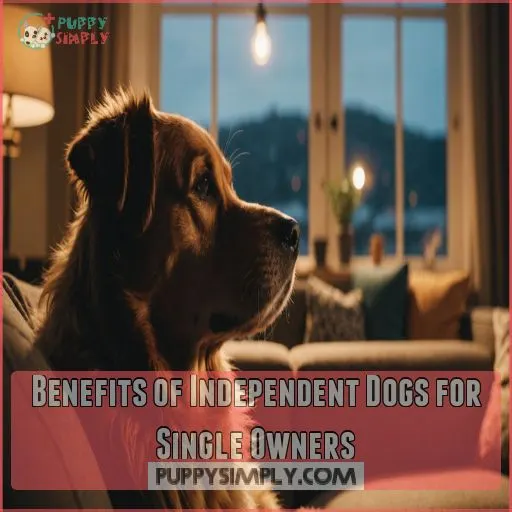 Benefits of Independent Dogs for Single Owners