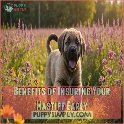 Benefits of Insuring Your Mastiff Early