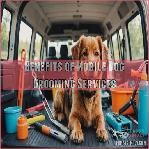 Benefits of Mobile Dog Grooming Services