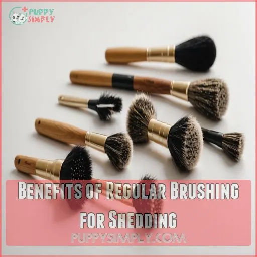 Benefits of Regular Brushing for Shedding