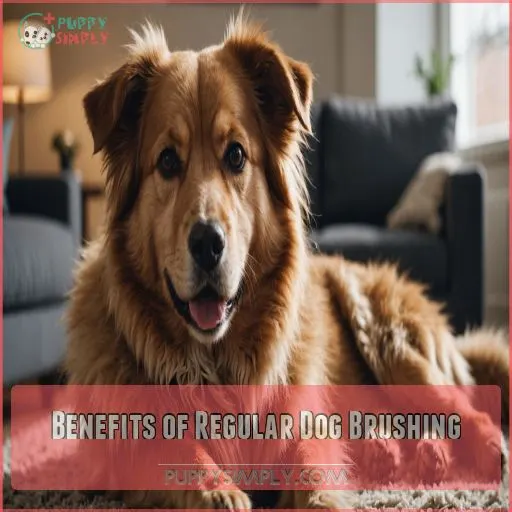 Benefits of Regular Dog Brushing