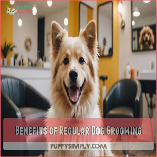 Benefits of Regular Dog Grooming