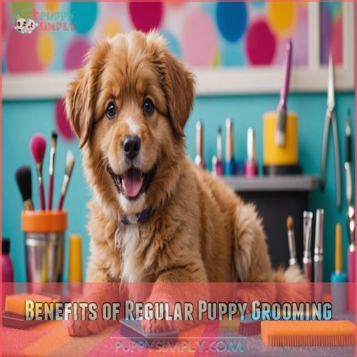 Benefits of Regular Puppy Grooming