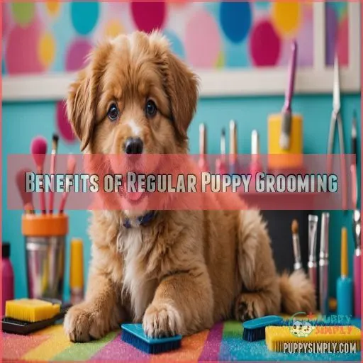 Benefits of Regular Puppy Grooming