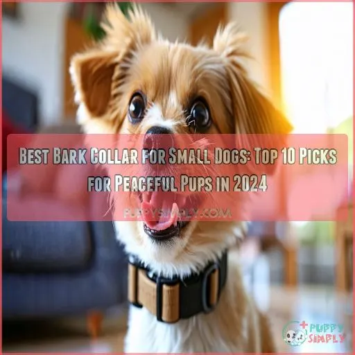 best bark collar for small dogs