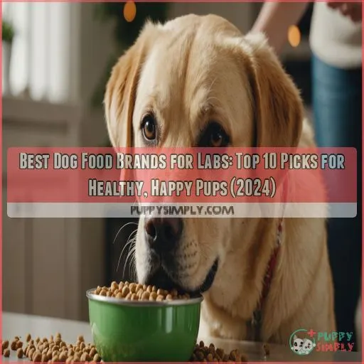 best dog food brands for labs