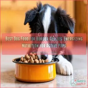 best dog food for border collie