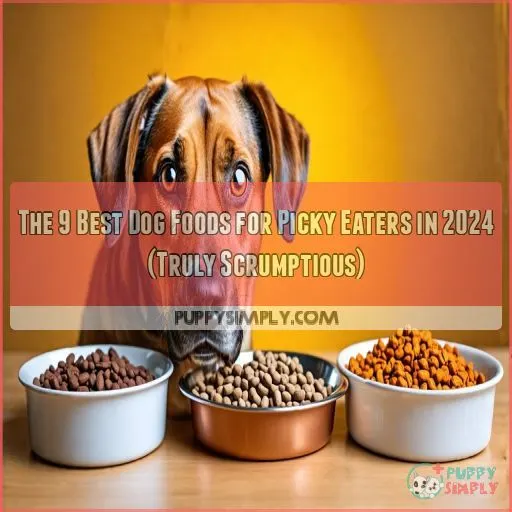 best dog food for picky eaters